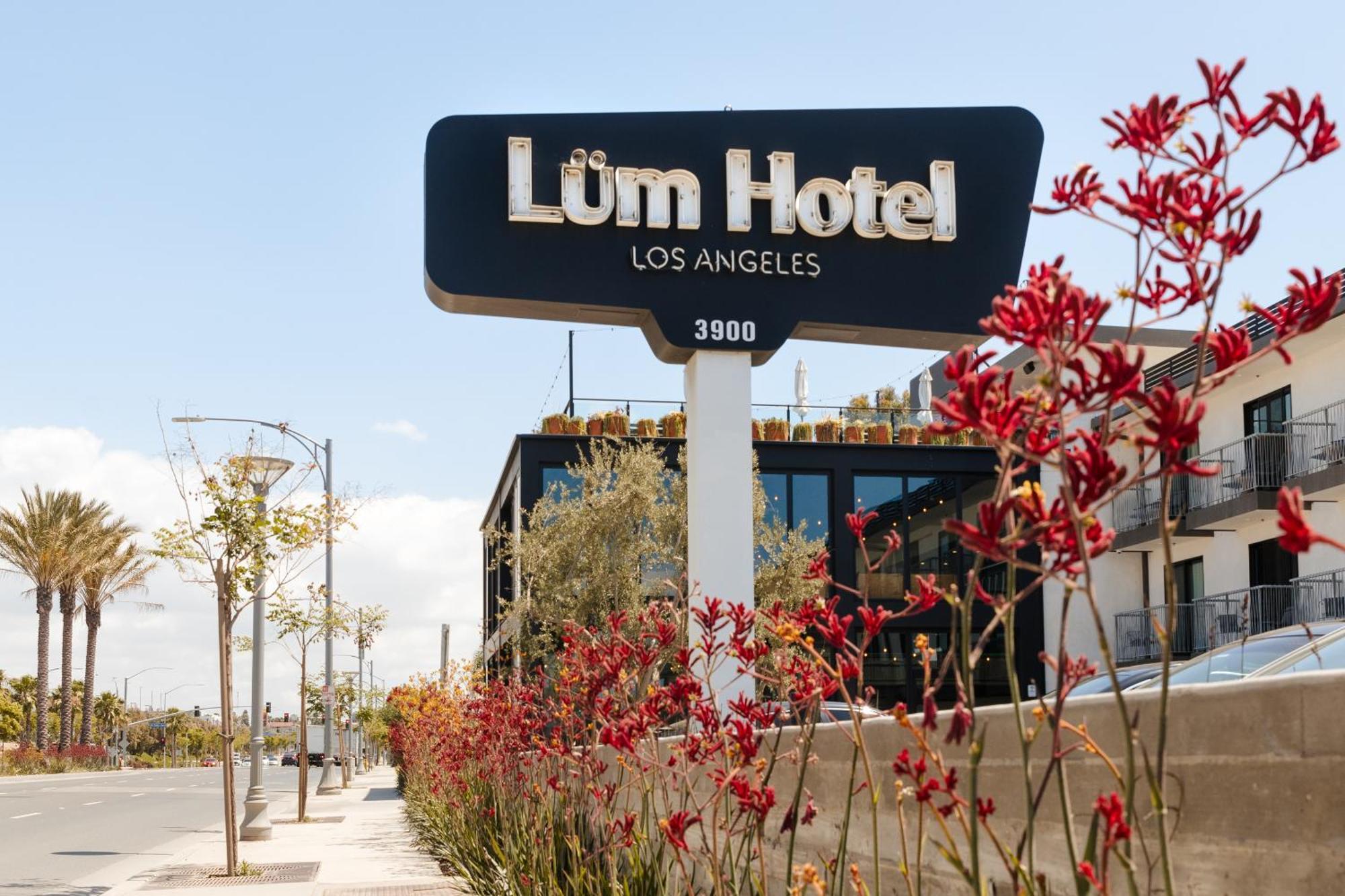 The Lum Hotel Los Angeles Stadium District Inglewood Exteriör bild
